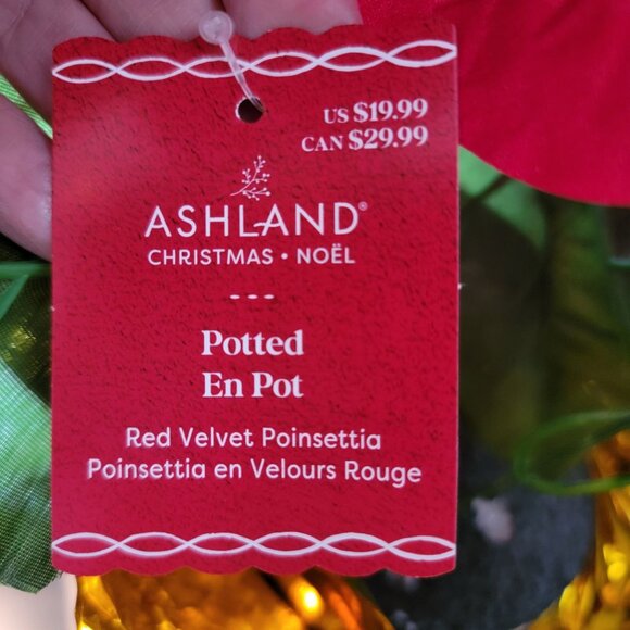 Ashland Christmas Poinsettia In Pot Red Velvet Décor 10" Gold Wrap Indoor Use On - Picture 3 of 4